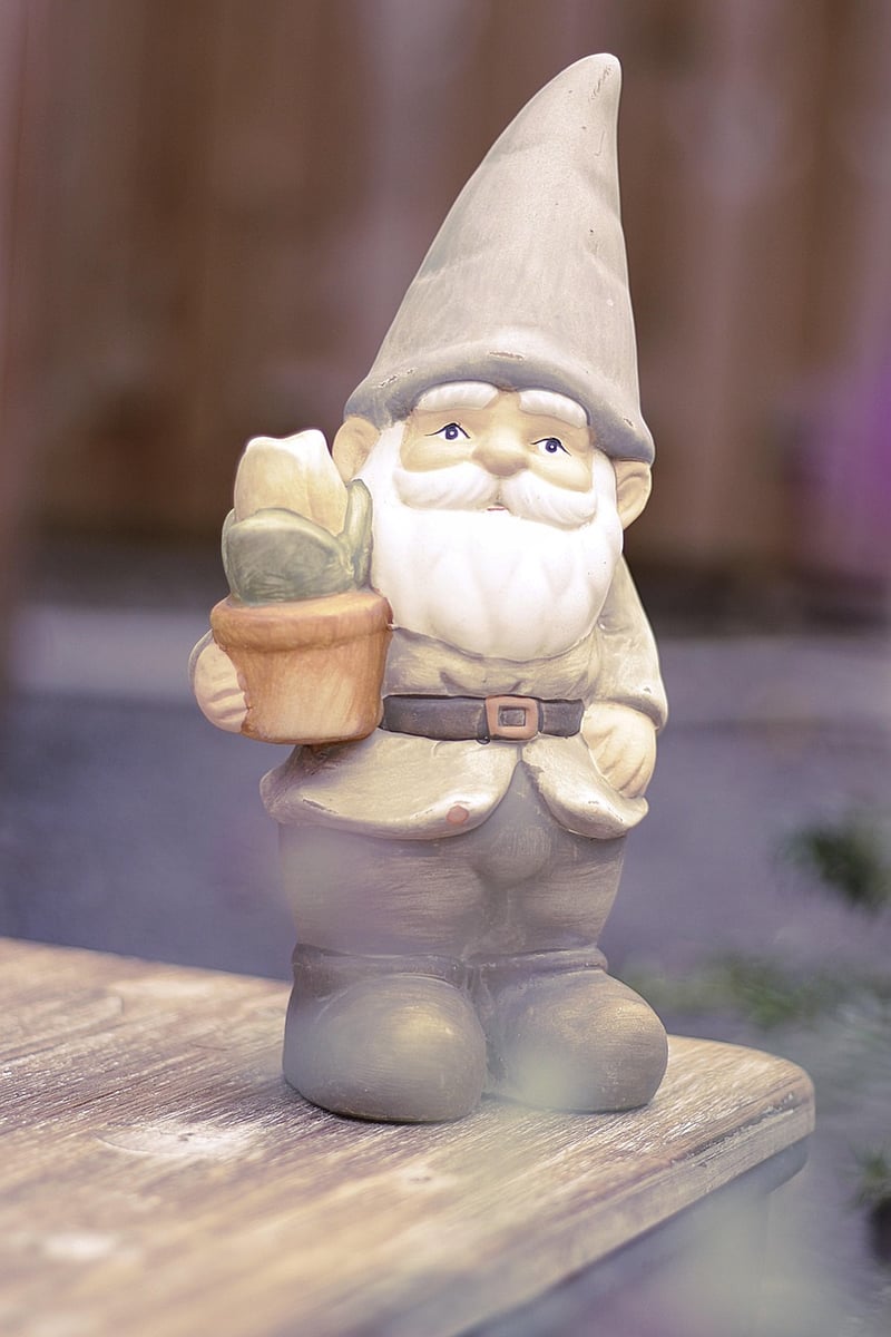 Gnome in the garden